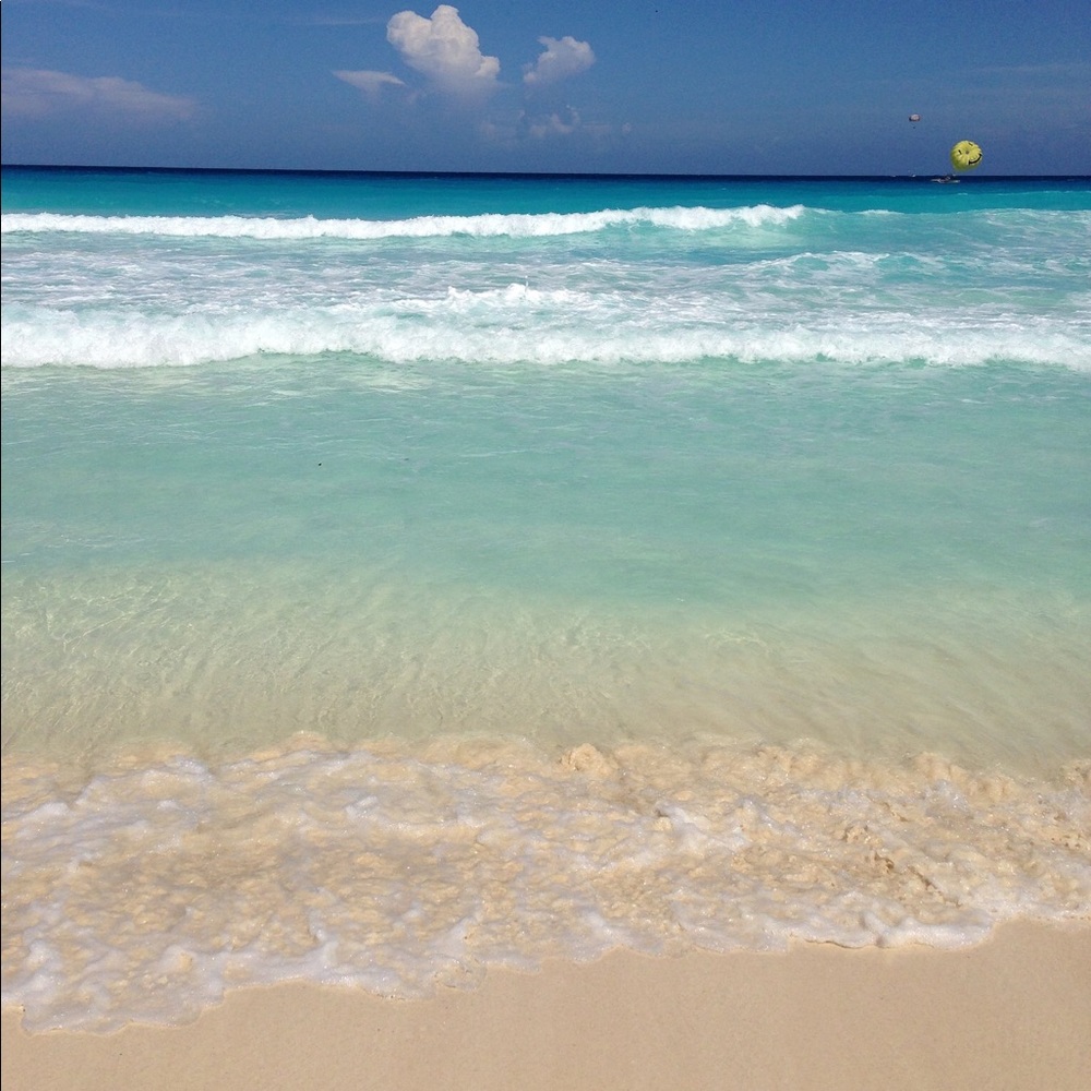 Meet your Posher, Sandy